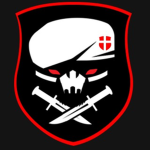 The Elite Shadow Snipers
