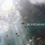 Bohemian'