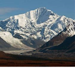 Xeeno Expeditions