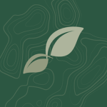 step corporation