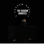 The Shadow Bandites