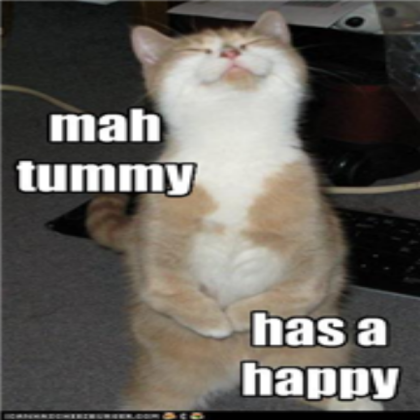 Funny animal 18 Roblox decal