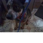 My name is tyrion
