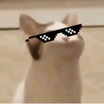 DaSwagPeople