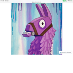Llama and friends!
