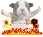 pibble party