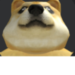 Doge Cool kid