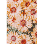 |•Flowers•|