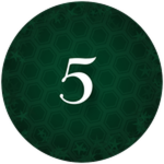 Secret Five