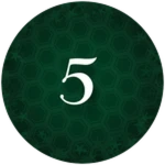 Secret Five