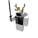 Roblox Fans...