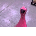 Floaty Flamingo's Scammy Clothing