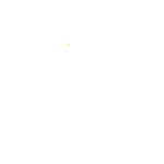 BLUExFOX