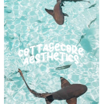 -+ Cᴏᴛᴛᴀɢᴇᴄᴏʀᴇ ᴀᴇsᴛʜᴇᴛɪᴄs +-