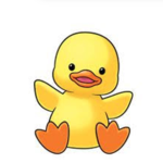 DUCKY SQUAD GROUP