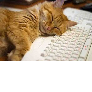 Creativity's Extreme Obbies (tiny update)