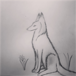 Ōkami Fan group