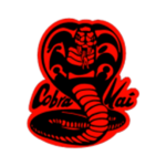 Cobra Kai Karate Franchise