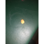 Super Creepy Pootles