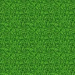 The Royal Grass Regiment