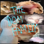 THE DOM FAMILY