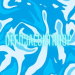 OfficialSKTroops