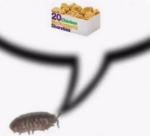 Mycheesenotyours