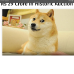 Dogs unitedMega dog for United because we are the