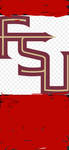F-S-University