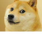 Doge-Club