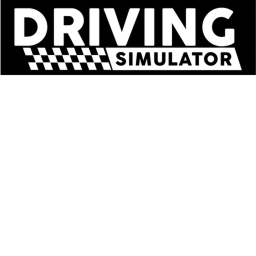 DRIVING SIMULATOR Z