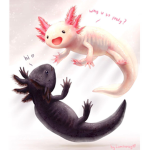 #cute Axolotl for fans