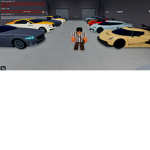 Syn INC