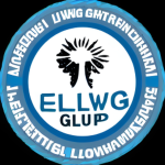 Elw Inc security group
