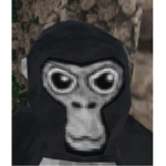 Kittyvr fan group