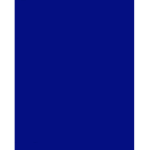 The boys in blue fc