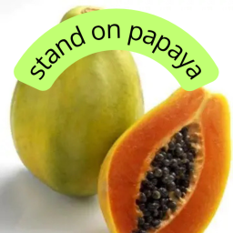 stand on papaya! UPD (4)