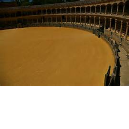 Cheese Studio™'s Fight Arena
