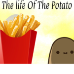 the life of the patato