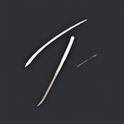 Paradox 2 avatar