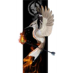 Rebellion of Panem