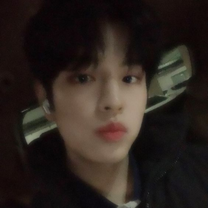 skz seungmin icon Roblox decal