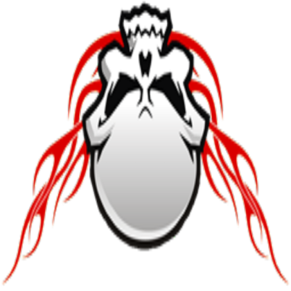 DK RACING VINYL Skull on red flames rotated Roblox decal
