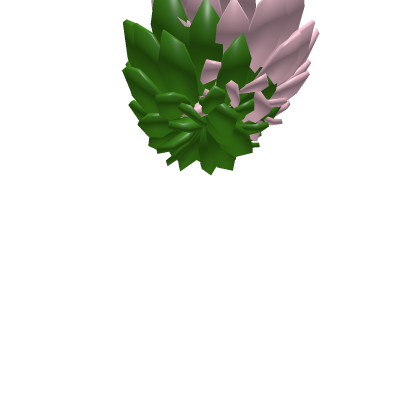 Water Lily