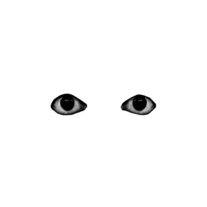 EYES Roblox decal
