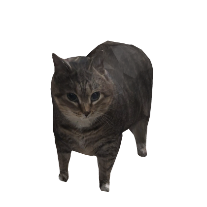 Meme Cat thumbnail