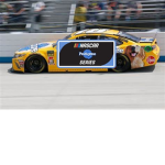 Pedigree NASCAR Cup Series