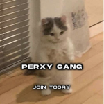 † PERXY †