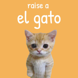 raise el gato