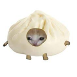 alaxrahaf113